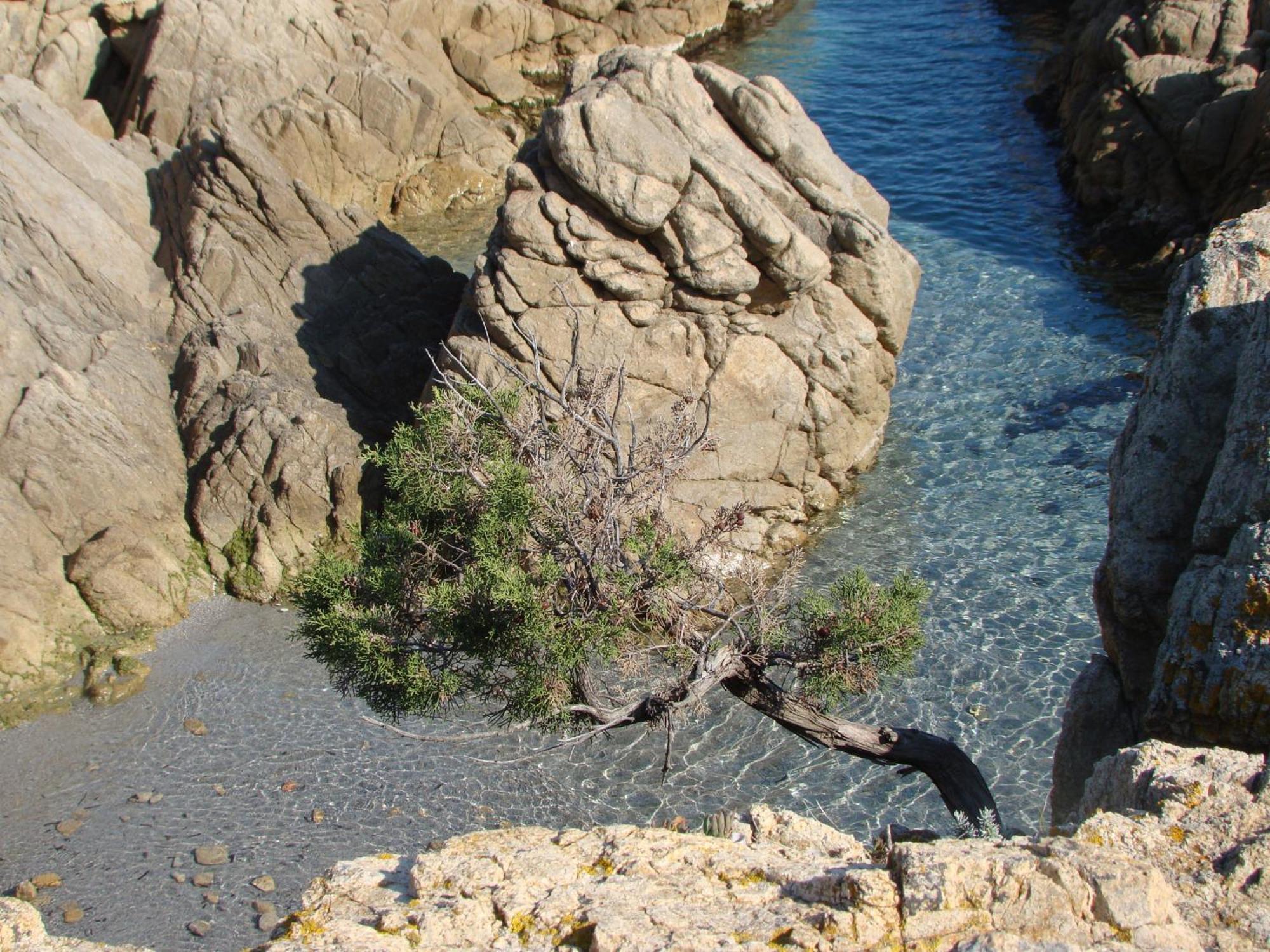 S'Ustiarvu- Nuova Gestione Otel Cala Liberotto Dış mekan fotoğraf